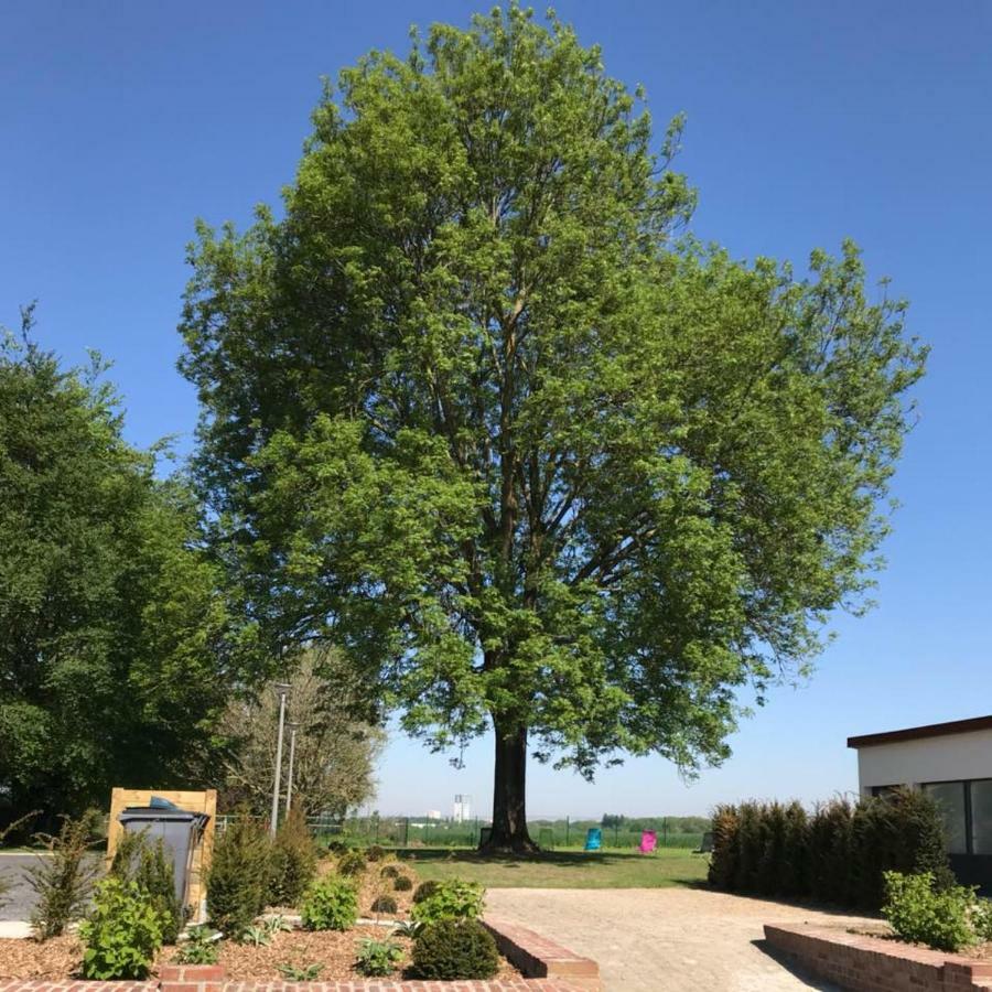 Gites Du Frene Wattignies Esterno foto
